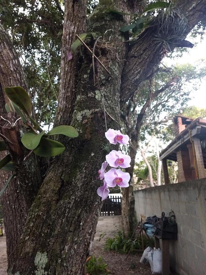 אריאל דו קאבו Casa Das Orquideas מראה חיצוני תמונה